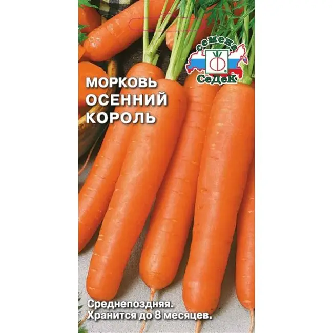 Болезни и вредители моркови