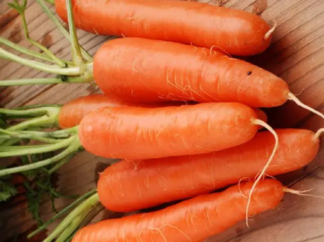 Описание самых сахаристых видов морковки