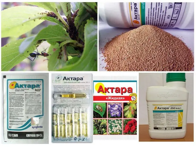 Химические и биологические препараты для обработки растений