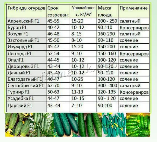 Урожайность огурцов с 1