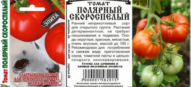 Описание ультраскороспелого сорта томата Филиппок и особенности ухода
