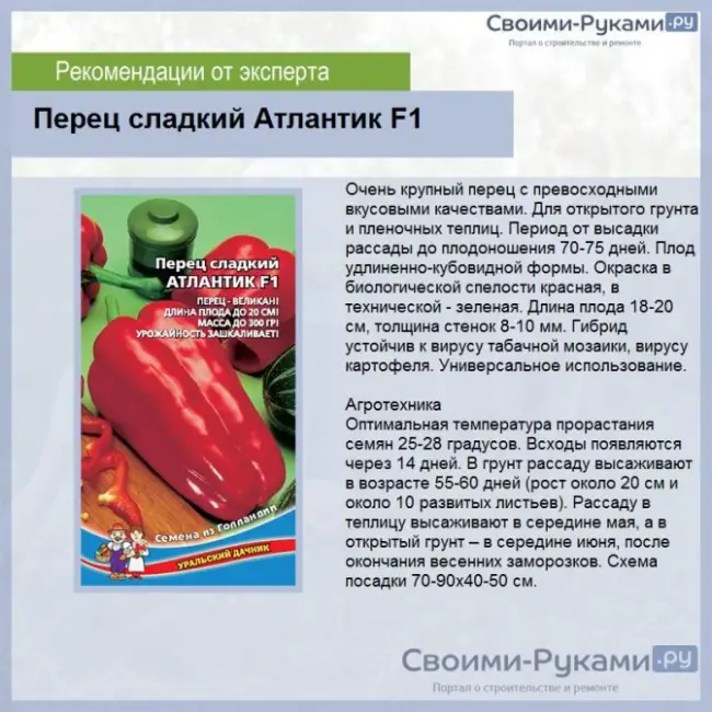 Описание и характеристика сладкого перца Витамин F1, отзывы, фото