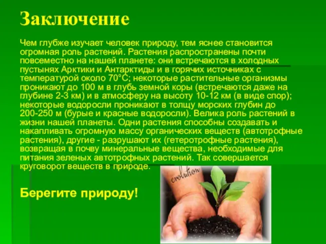 Заключение диссертации по теме «Защита растений», Ярышева, Ирина Андреевна