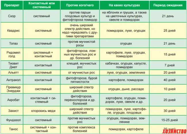 Заключение диссертации по теме «Защита растений», Литвиненко, Елена Витальевна