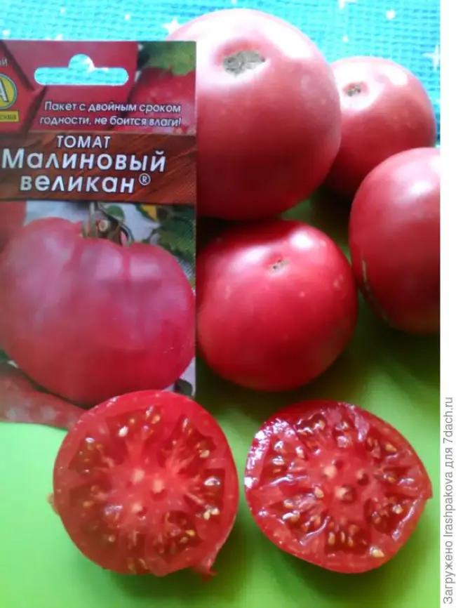 Подробное описание сорта томата Малиновый силач