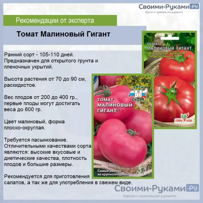 Хранение и использование томатов сорта Малиновый силач
