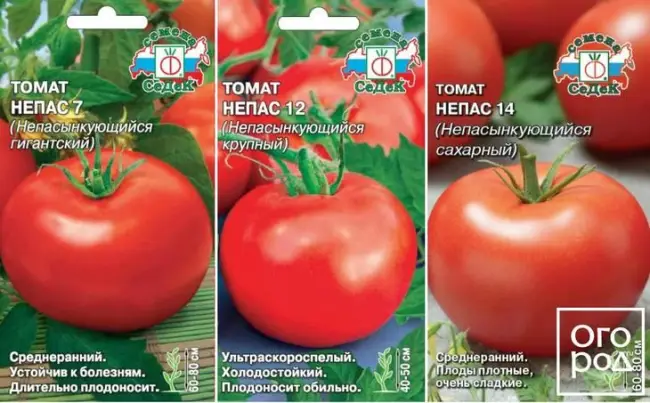Описание сорта томата, отзывы, фото