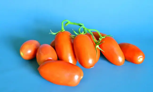 Описание сорта томата Мальчик с пальчик, особенности выращивания и ухода