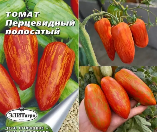 Описание и характеристика томата Перцевидный