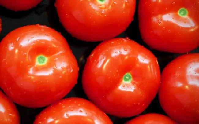 Описание сорта европейских помидоров