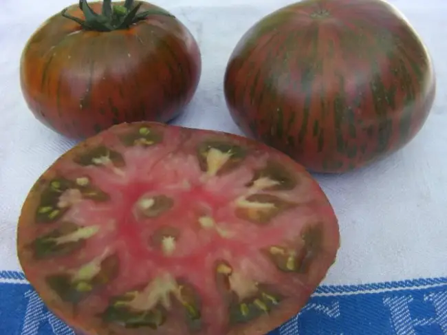 Сбор и хранение томатов
