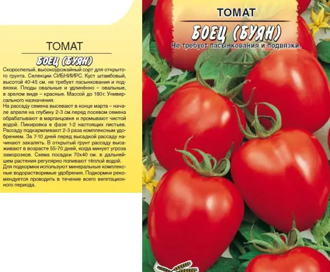 Характеристика и описание сорта помидоров