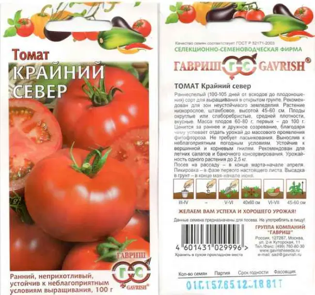 Характеристика сорта томата Русский размер F1 в таблице