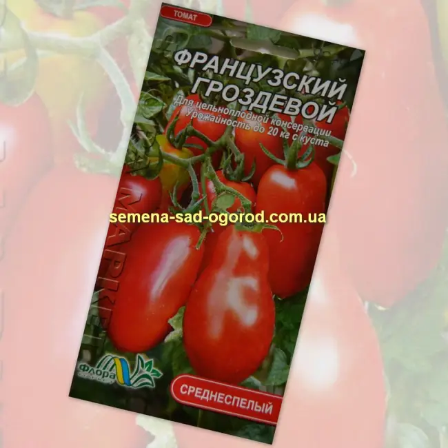 Особенности выращивания томата Сибирский гроздевой, посадка и уход