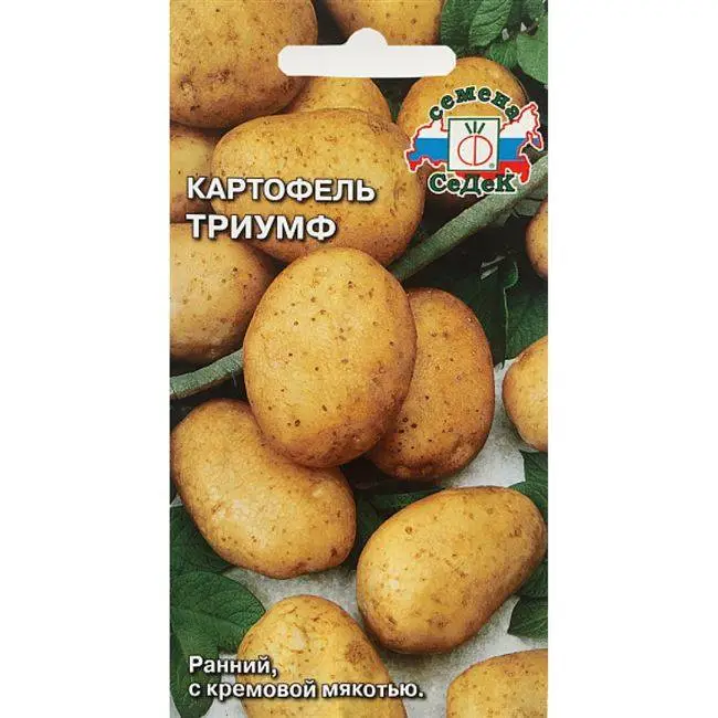 Характеристика сорта картофеля Чародей