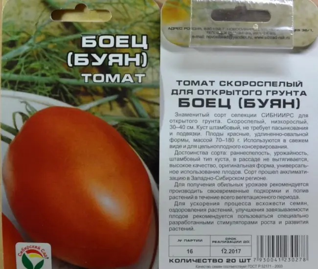 Особенности выращивания томатов Боец, посадка и уход