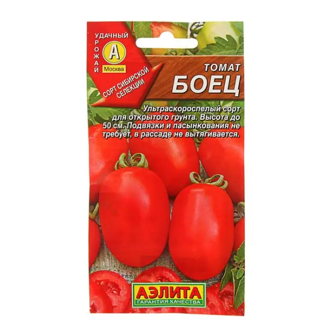 Сбор и хранение урожая томата Боец