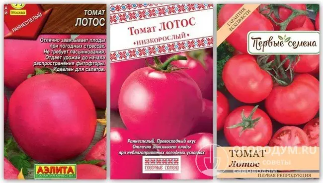 Описание и характеристика томата Белый лотос, отзывы, фото