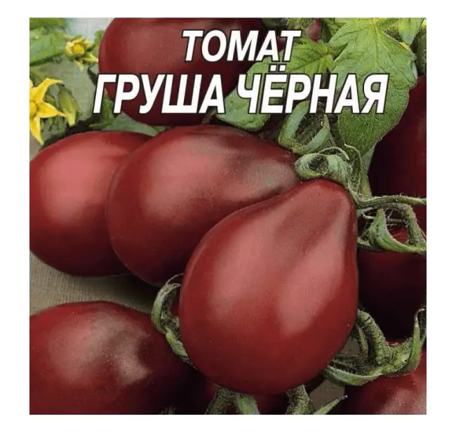 Фото, отзывы, описание, характеристика, урожайность сорта томата «Черная груша»