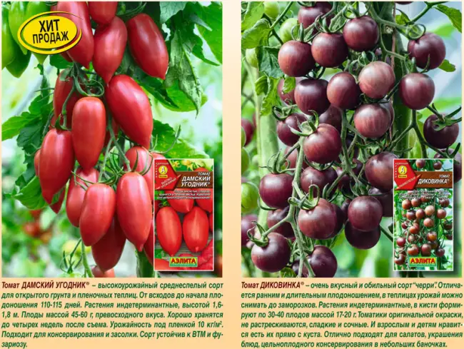 Особенности выращивания томатов Черри Вера, посадка и уход