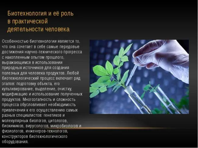 Заключение диссертации по теме «Селекция и семеноводство», Терешонкова, Татьяна Аркадьевна