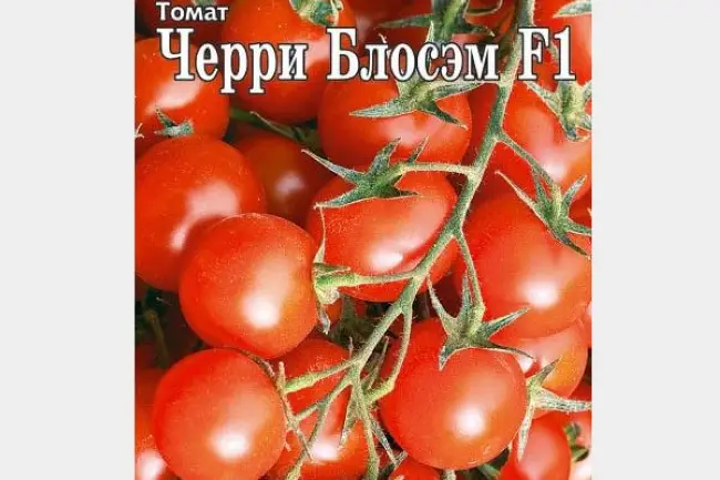 Характеристика томатов сорта Медовые росы и их описание