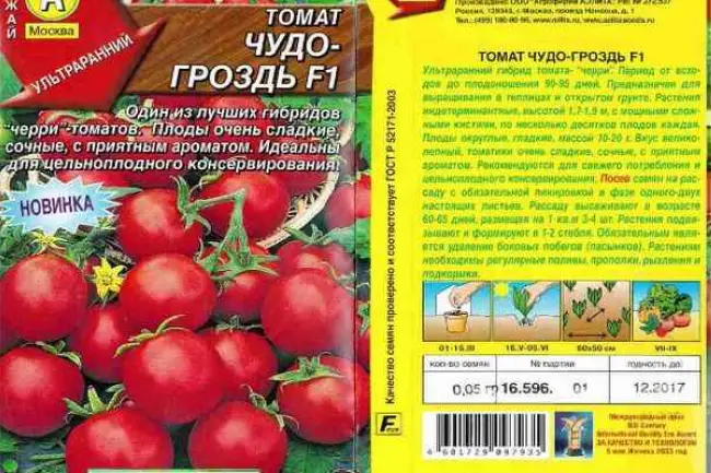 Характеристика и описание помидор сорта Т-34