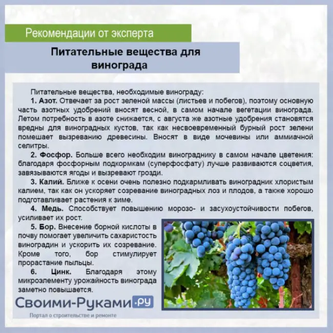 Заключение диссертации по теме «Защита растений», Деканосидзе, Теймураз Евгеньевич