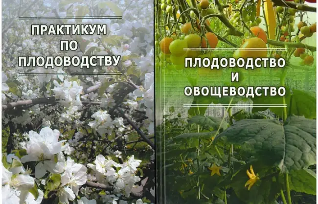 Заключение диссертации по теме «Плодоводство, виноградарство», Денисов, Алексей Дмитриевич