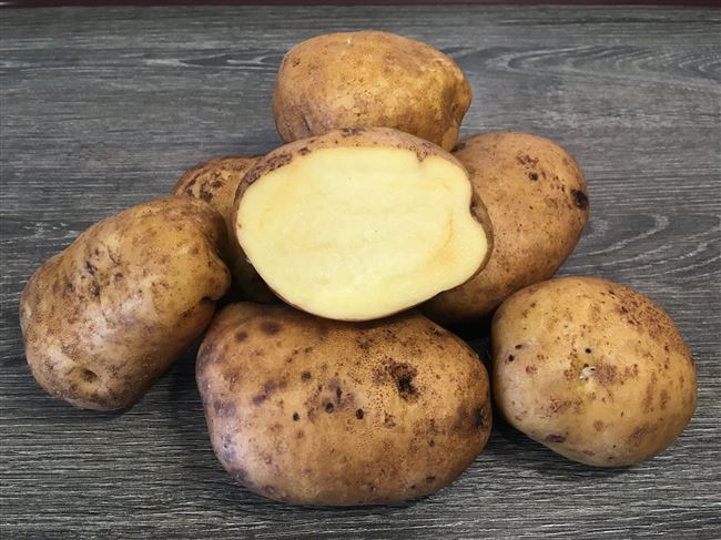 Картофель Белоснежка | Сорта картофеля
