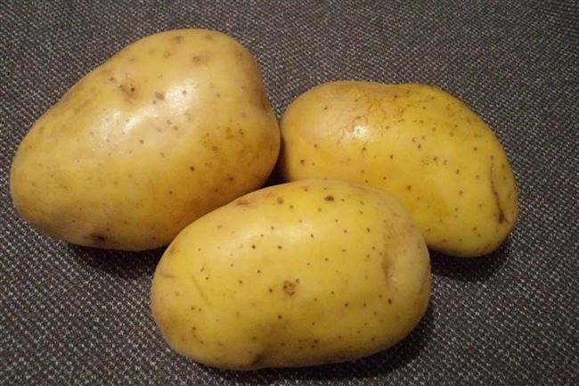 Подарок из Германии — картофель «Крона»: характеристика сорта и полезные советы