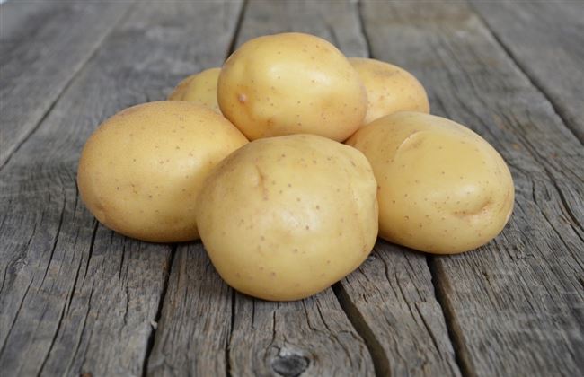 Картофель «Мелодия»: описание сорта и фото, характеристики корнеплода, а так же агротехника Русский фермер