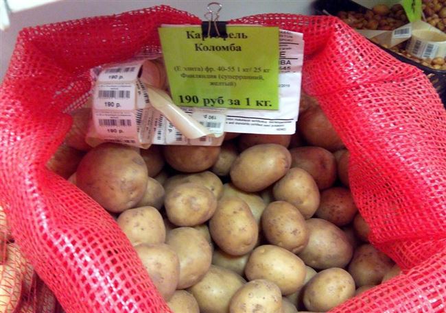 Подробное описание и советы агрономов по сортам картофеля: «Петербургский», «Барин», «Лидер» и другие