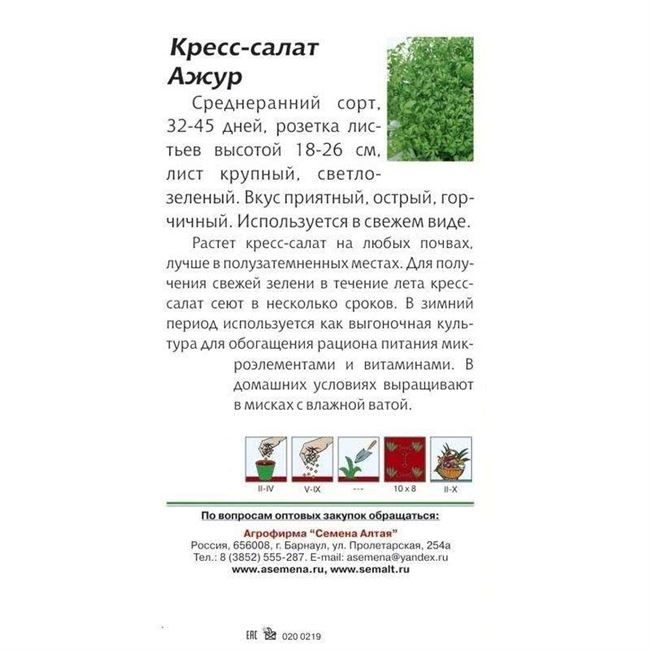 Ажур - сорт растения Кресс-салат