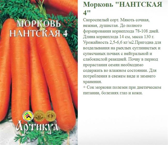 Описание сорта моркови Нантская