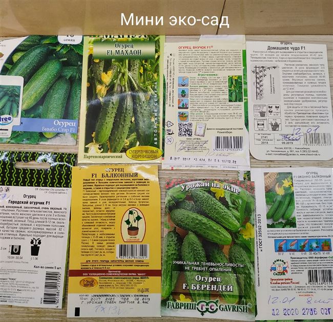 Огурец Окошко F1: отзывы, описание сорта, фото семян Аэлита, как прищипывать кусты