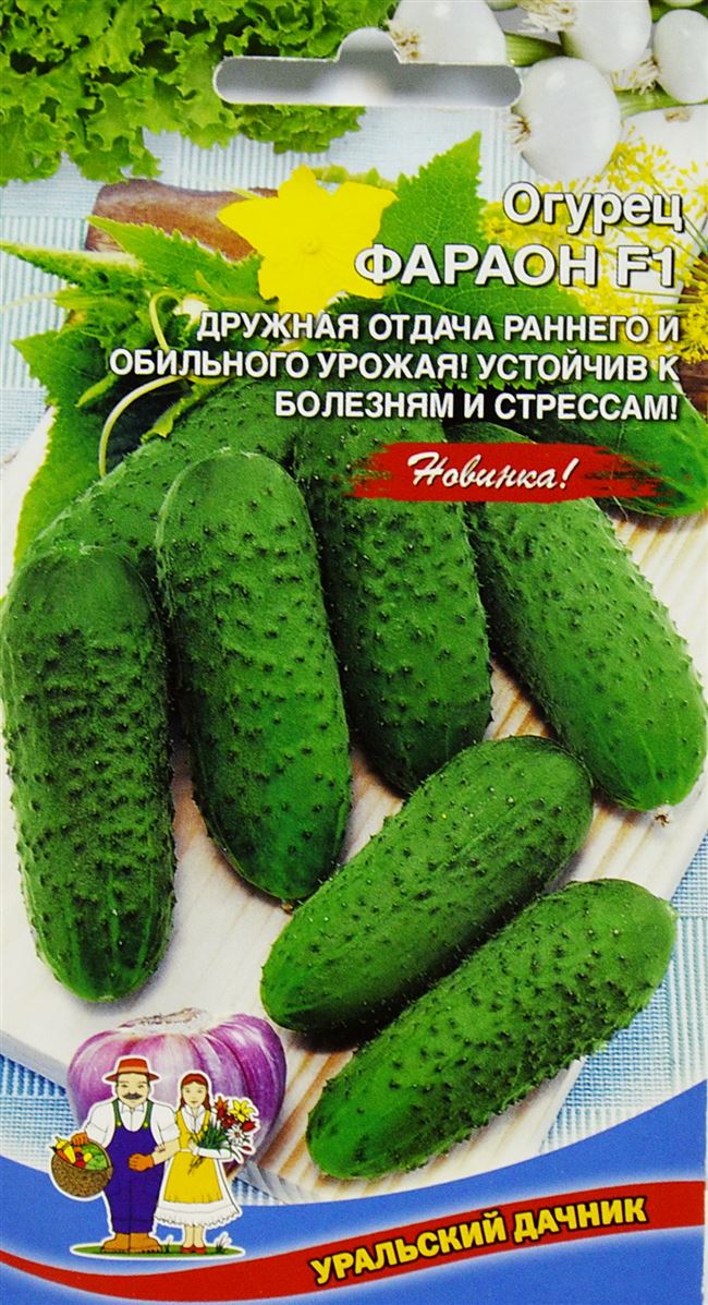 Отзыв о Семена огурцов Уральский дачник «Фараон F1» | хорошая всхожесть,обильный урожай.