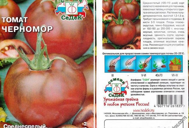 Яркий представитель темноплодных — томат «Черномор» описание сорта и его характеристика