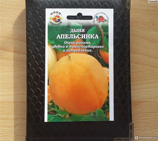 Дыня Апельсинка: описание и характеристики сорта, особенности посадки и выращивания