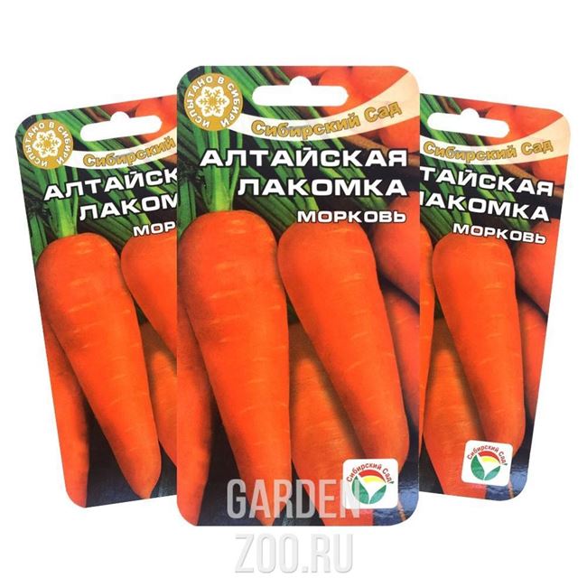 Морковь Алтайская лакомка: отзывы, фото, урожайность – Дачное дело