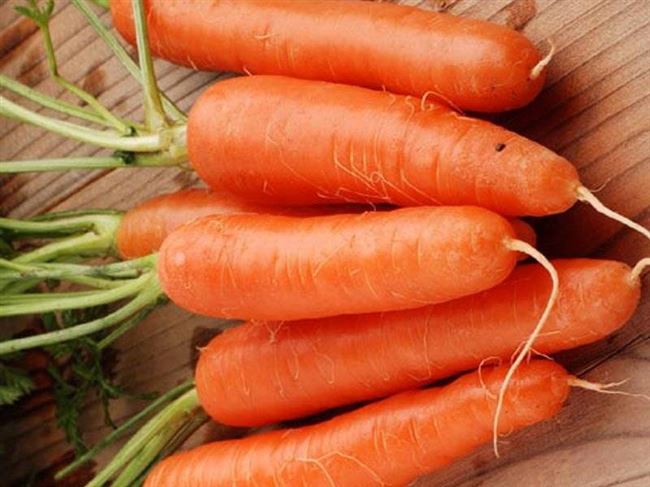 Белая морковь: описание, сорта, правила выращивания, отзывы огородников