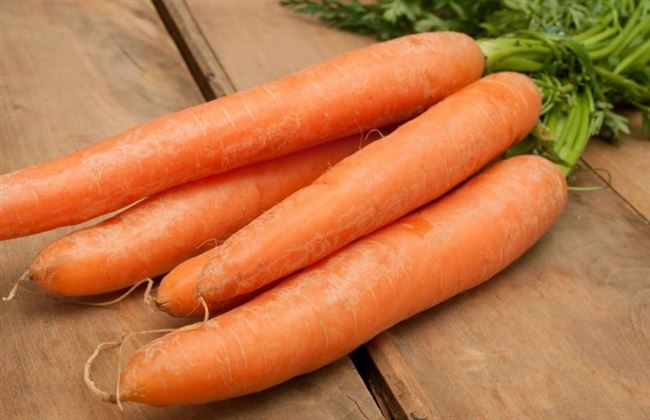 Сорта моркови. Обзор лучших сортов с описанием — Сад и огород