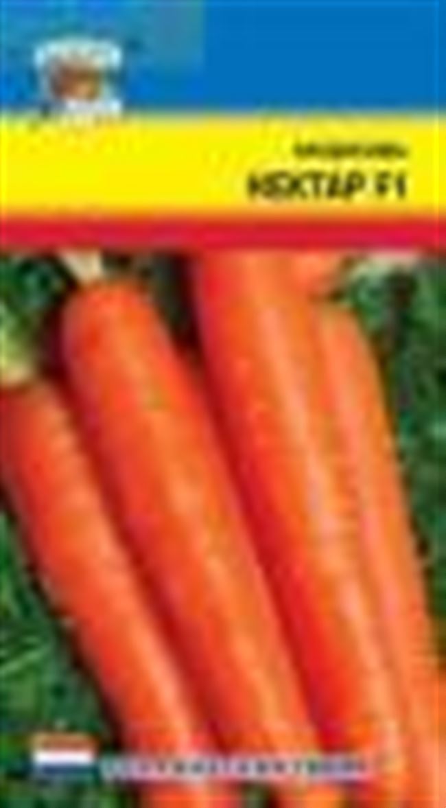 Морковь НЕКТАР  F1 отзывы | Очень вкусный и сладкий гибрид