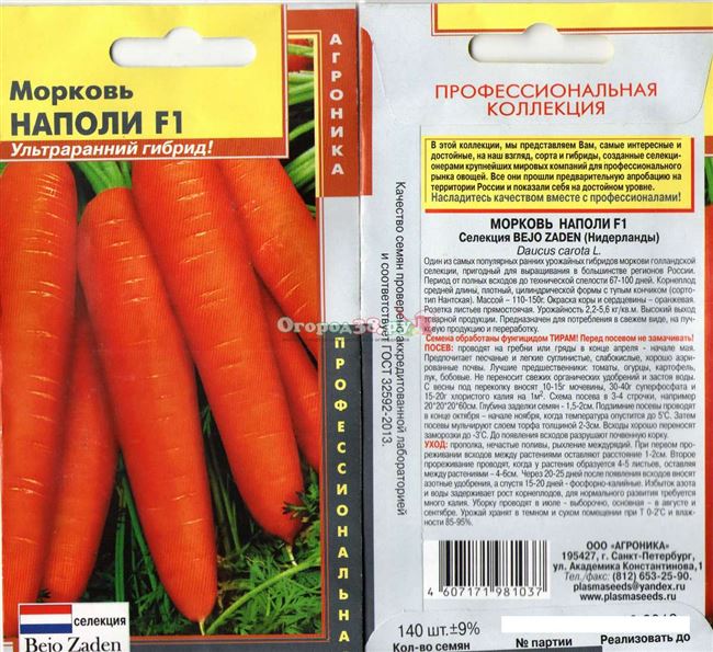 Морковь Наполи: описание сорта, фото, отзывы, характеристика, достоинства и недостатки, особенности выращивания, урожайность