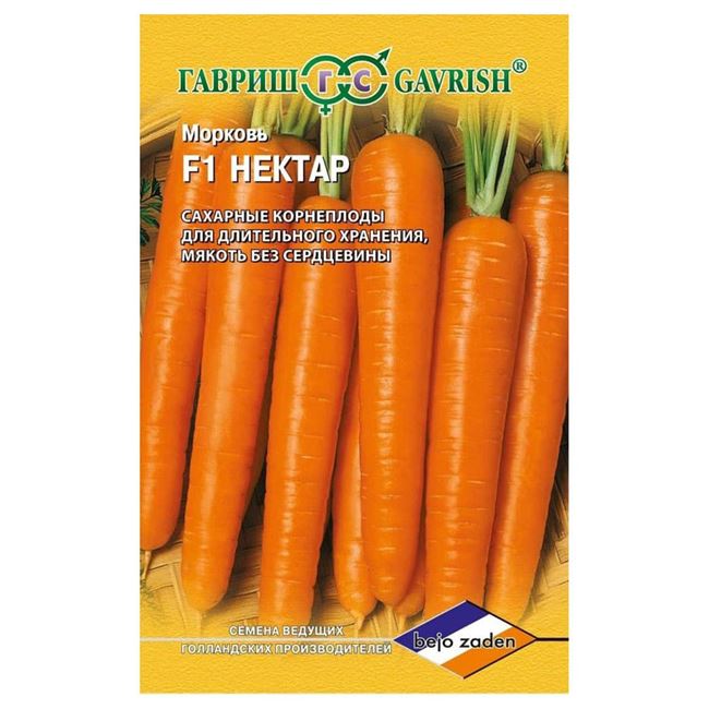Морковь Зимний нектар: описание, фото, отзывы