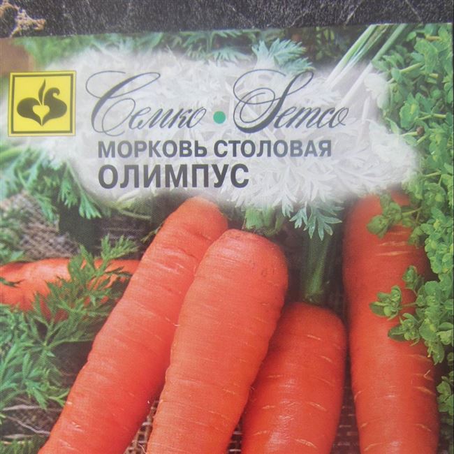 Лучшие сорта поздней моркови