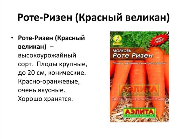 Роте Ризен – морковь: отзывы, характеристики, сроки и правила посева, особенности ухода, борьба с заболеваниями и вредителями, сбор и хранение урожая