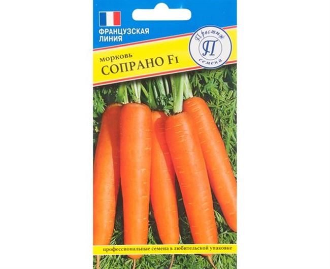 Сопрано — сорт растения Морковь