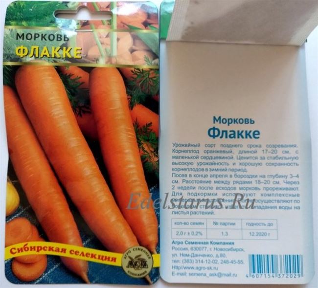 Морковь ФЛАККЕ: отзывы, фото, описание сорта, выращивание, посадка и уход