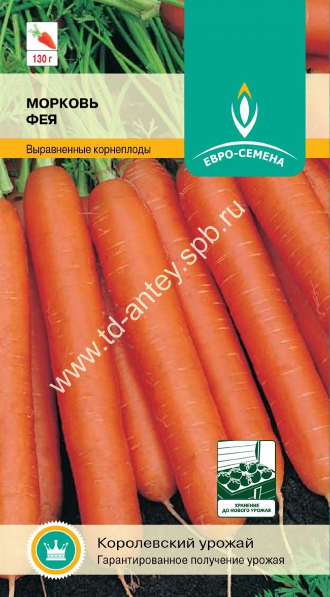 Фея — сорт растения Морковь